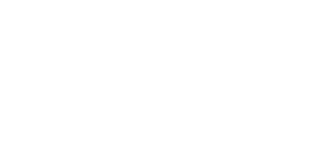 Turtle Software Logo